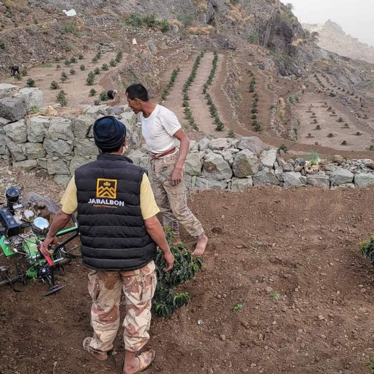 إيقاع العمل لاستعادة مجد شجرة البن