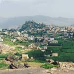 تدشين حملة تحصين الثروة الحيوانية في مديرية الرجم بالمحويت