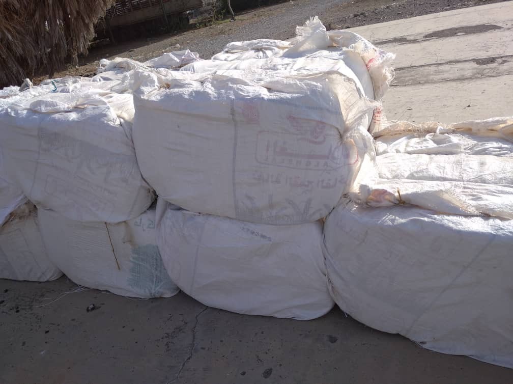 تسويق القطن ضمن أنشطة جمعية مزارعي الدريهمي