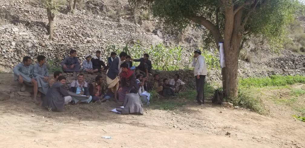 جمعية جبل المحويت تتفقد محاصيل الذرة الشامية في المدارس الحقلية