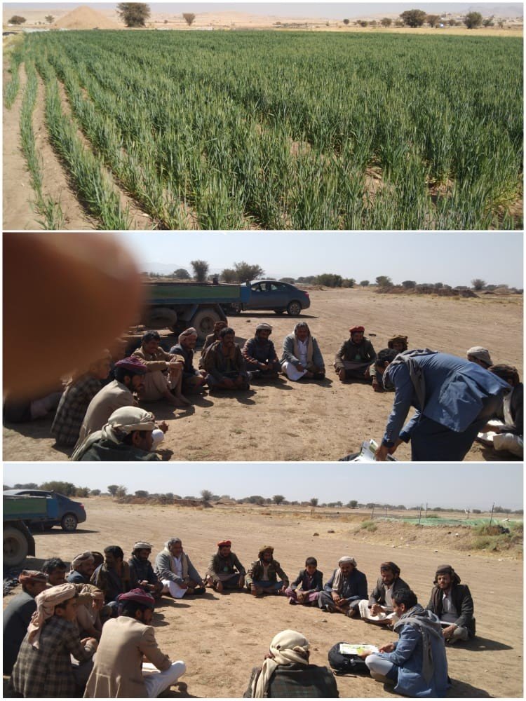 جمعية بني الحارث تنشأ مدرسية حقلية في حي بني جرموز