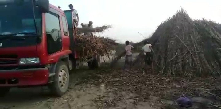 جمعية اللحية توفير اعلاف لجمعية رصابة