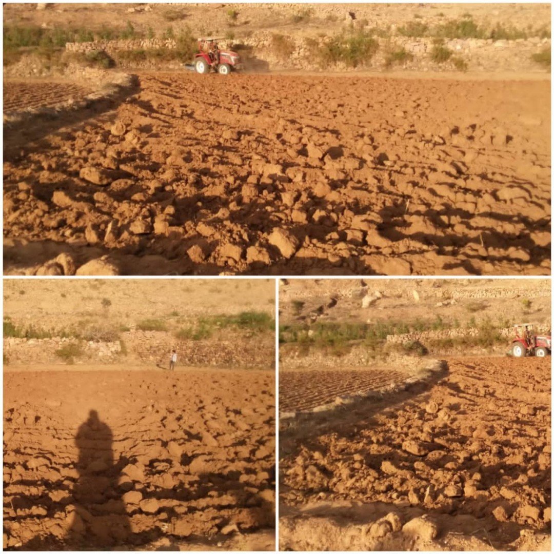 جمعية جبل المحويت تدشن الحراثة المجتمعية في بلاد غيل