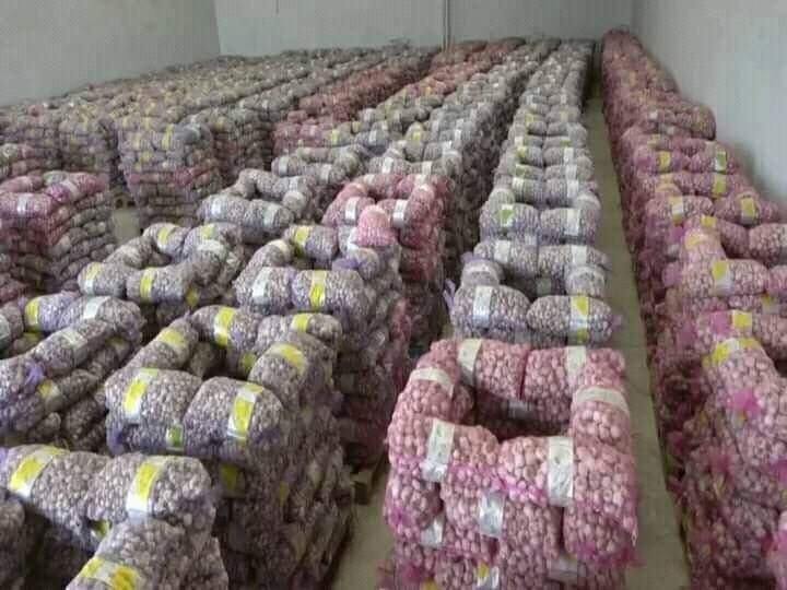 محصول الثوم وكذبة الاكتفاء الذاتي