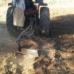 تواصل أنشطة الحراثة المجتمعية لمزارعي الحبوب بمديرية بعدان بإب