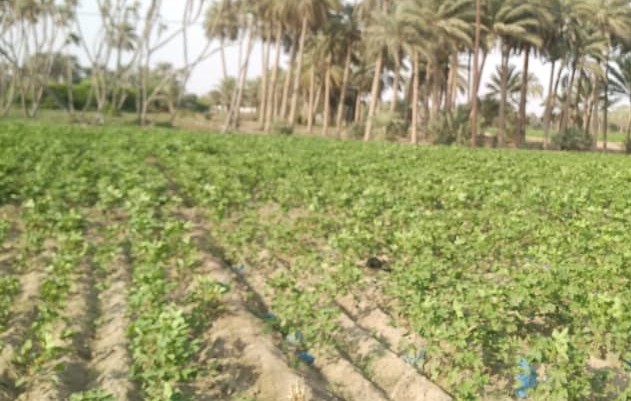 فرق جمعية البلدة الطيبة تنفذ مسحاً ميدانياً بهدف التوسع في الزراعة