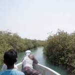 اللحـية.. ثورة مائية ونهضة زراعية غير مسبوقة
