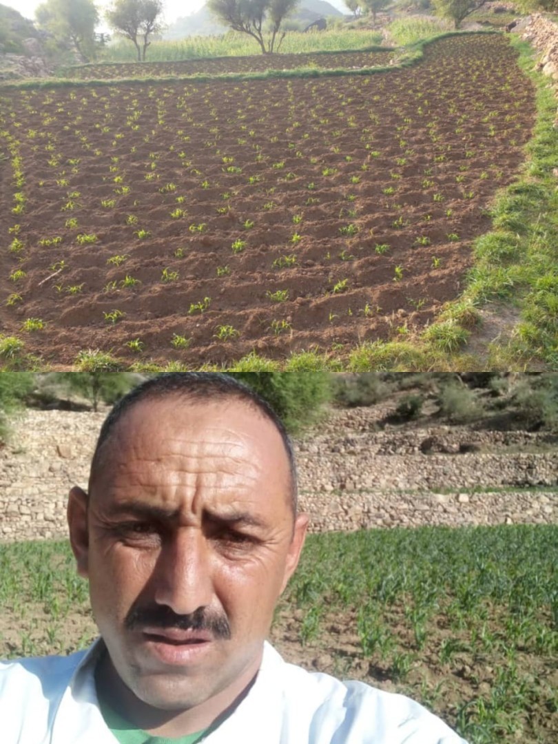 المزارع القابصي .. جبهة زراعية تستحق الاهتمام