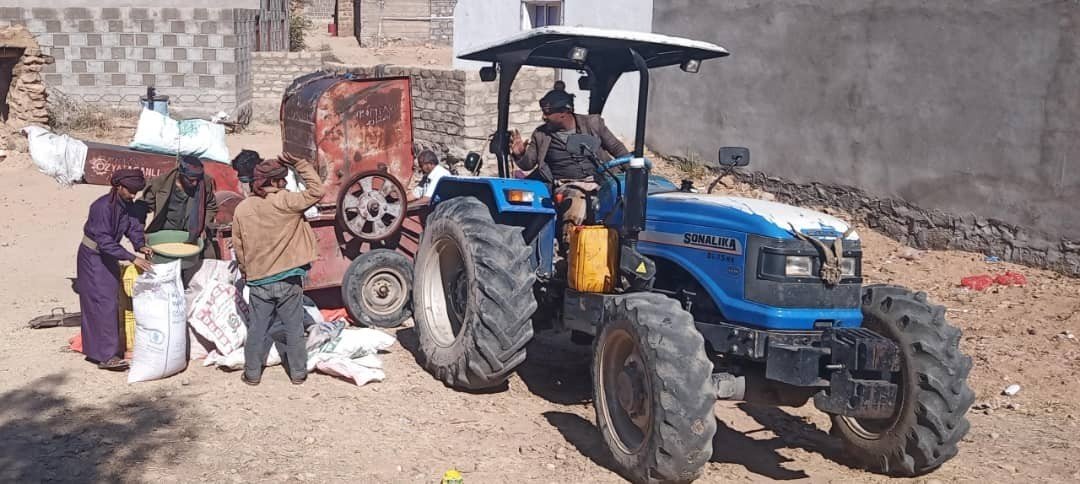 فريق ميداني يطلع على عملية حصاد الذرة الرفيعة بمديرية العبدية في مأرب