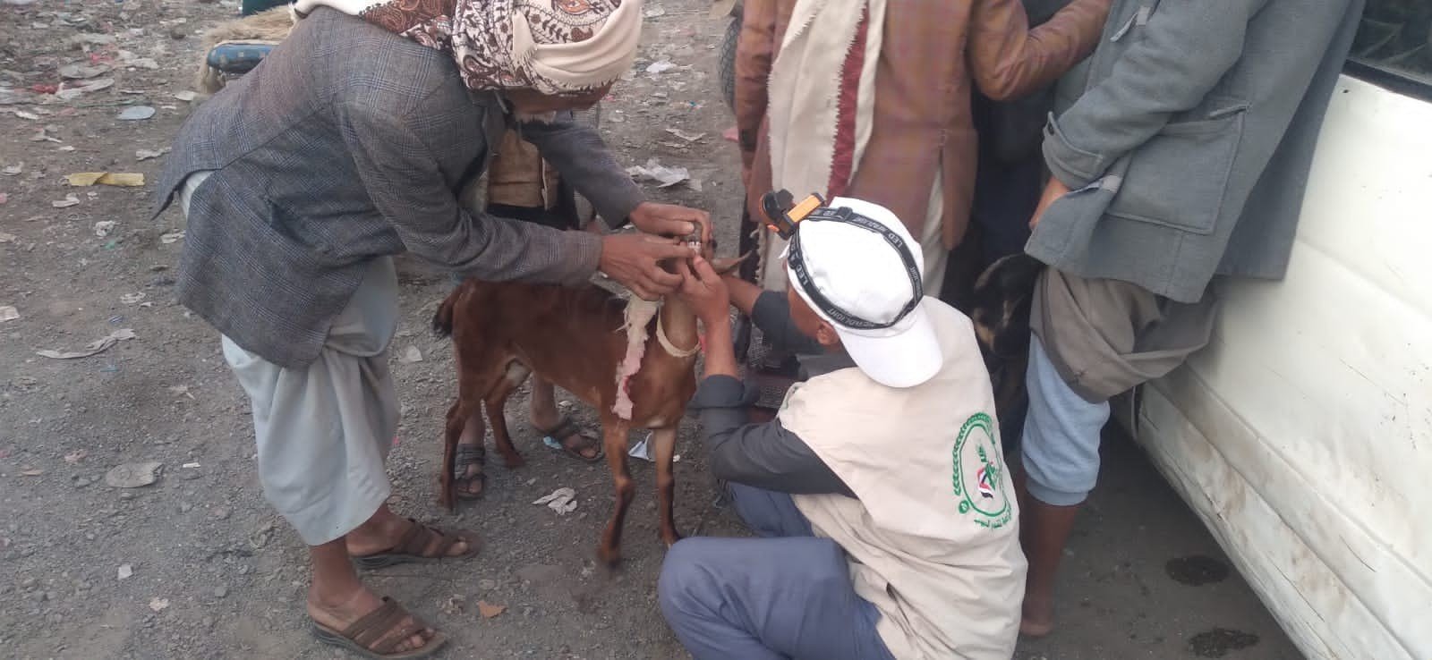 جمعية القفر تواصل زيارة الأسواق لشراء الأغنام لمشروع التمكين الاقتصادي