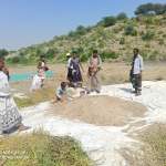 جمعية قفل شمر تدشن حصاد الأرز البلدي