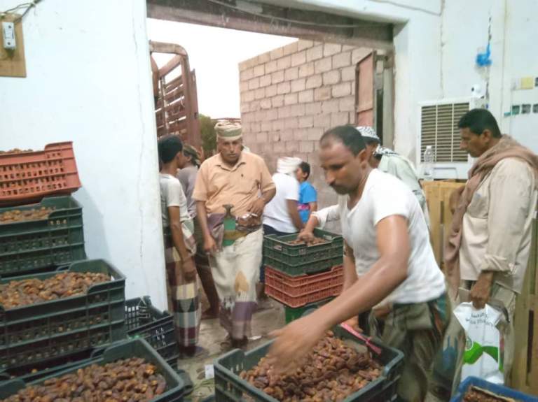 جمعية البلدة الطيبة تورد 150 طناً من التمور المتعاقد عليها مع الشركات والتجار