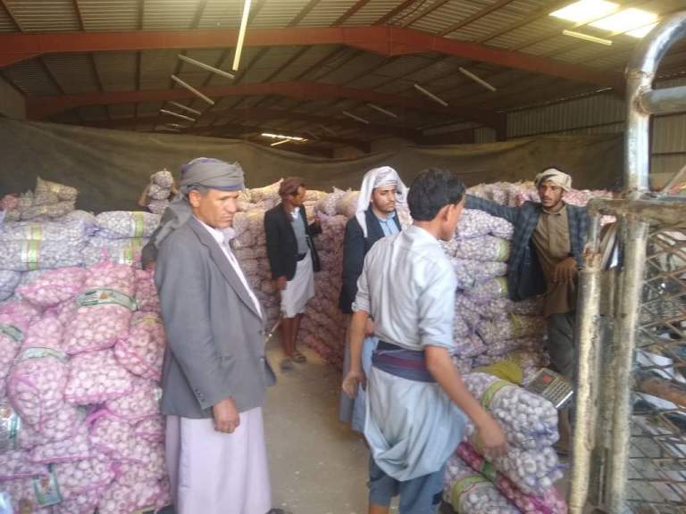 جمعية البون الشمالي توزع 40 طن من بذور الثوم على المزارعين