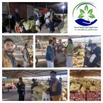 تعز..اجتماع يناقش سبل تفعيل جمعية الصلو التعاونية وتجهيزات المولد النبوي وتفعيل الزراعة التعاقدية بمديرية الصلو