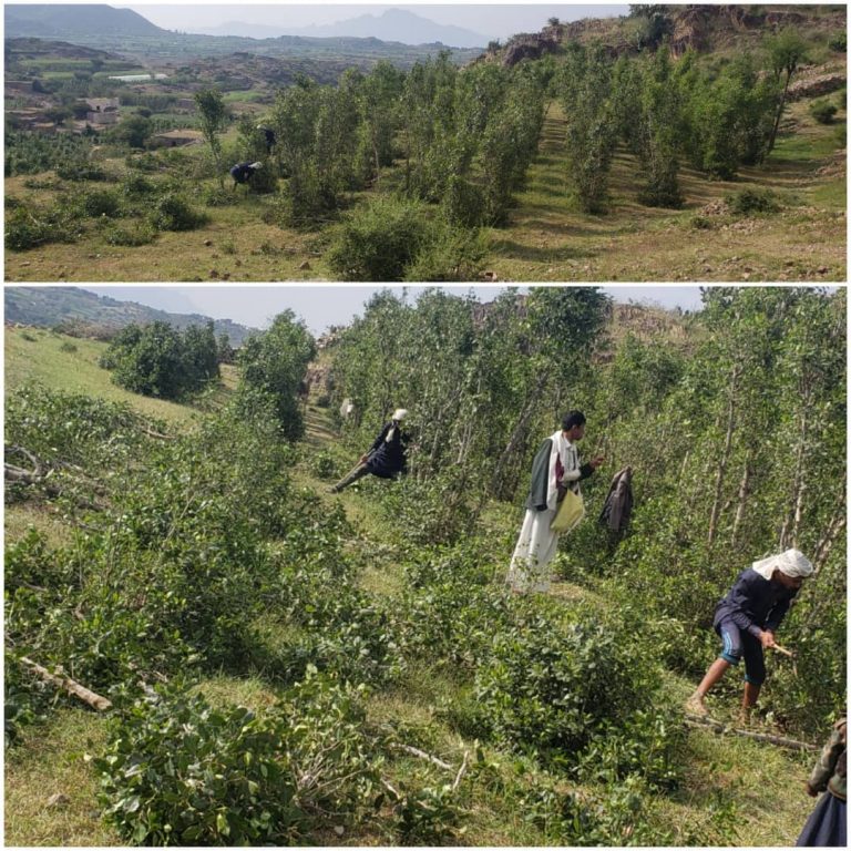 جمعية جبل الشرق تواصل تفقد المبادرات الزراعية