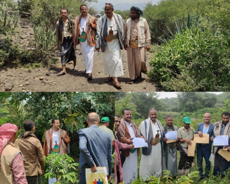 بحضور جمعية ماوية .. تفقد عدد من المزارع بوادي حميراء، وسوادح، وسودان، وجبانة بالمديرية