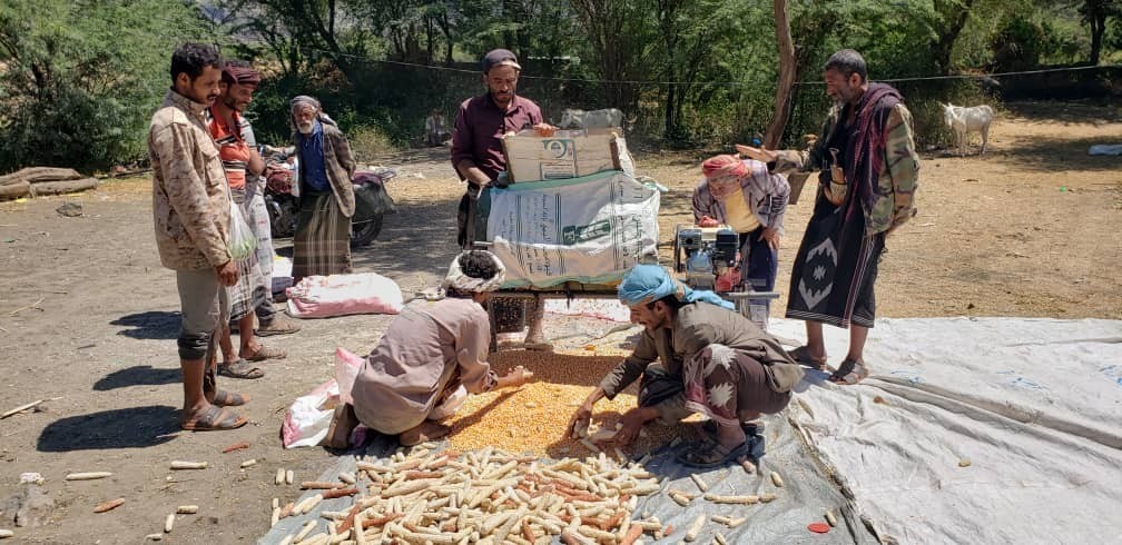 ابتكار حصادة حبوب بمديرية جبل الشرق