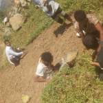 جمعية جبل المحويت تدشن حصاد محصول الفول السوداني