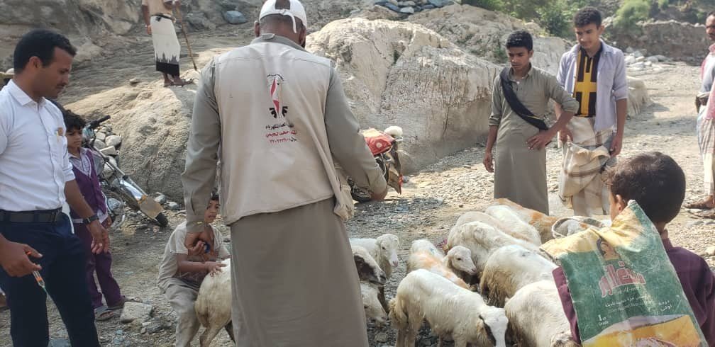 جمعية أفلح اليمن تواصل حملة تحصين الثروة الحيوانية