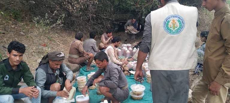الاطلاع على تجهيز العسل الدوائي بمحمية وادي عشق بالمحويت￼