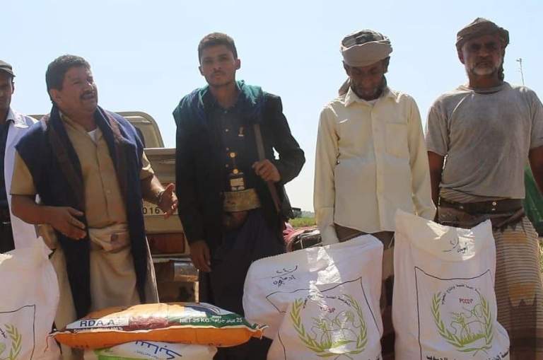 الحديدة.. توزيع بذور القمح وتدشين حصاد محصول السمسم بمديرية المنصورية