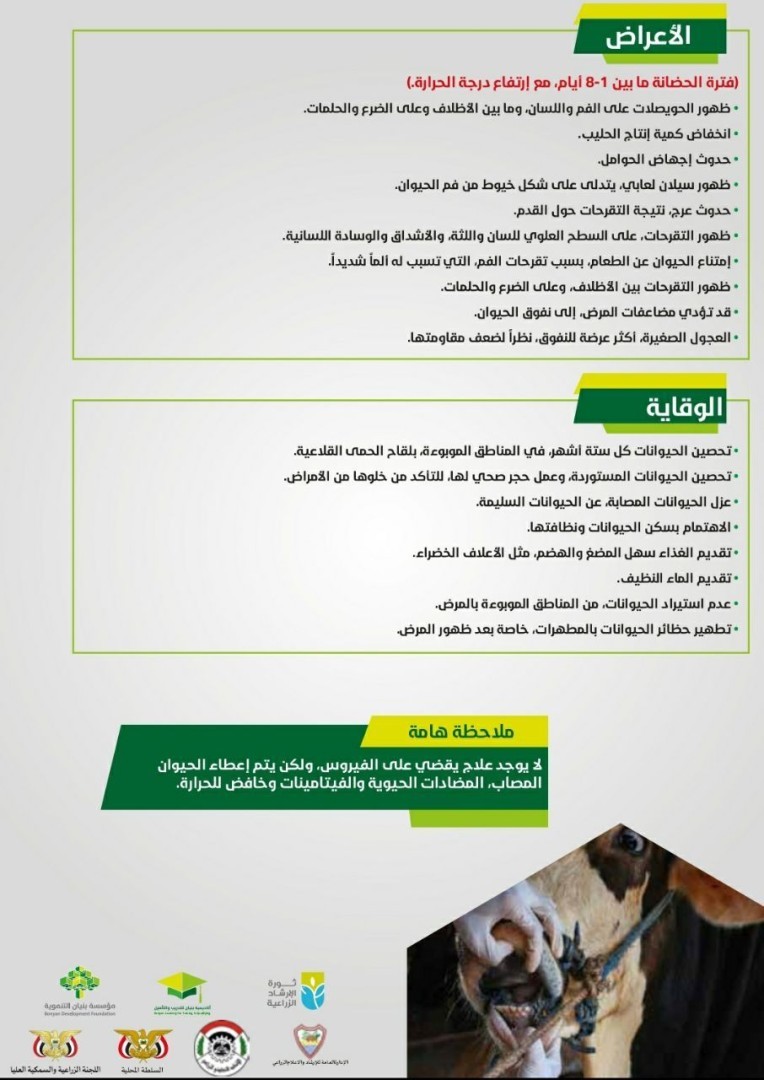 الحمى القلاعية" (العكاش)￼