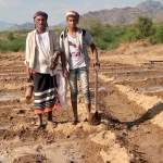 جمعية الحجيلة تدشن زراعة القمح في حقول توضيحية بالحديدة جمعية الحجيلة تدشن زراعة القمح في حقول توضيحية بالحديدة