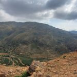 جمعية الرجم التعاونية الزراعية تنفذ دراسة ميدانية￼