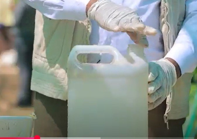 طريقة صنع مبيد من الثوم