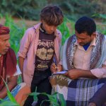 الجمعيات الزراعية بالحديدة تبدأ بحصر بيانات مزارعي الزراعة التعاقدية