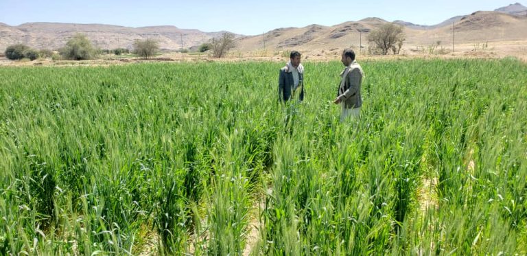 فريق من جمعية القطاع الشرقي يطلع على زراعة الحبوب والبقوليات بمديرية جحانة