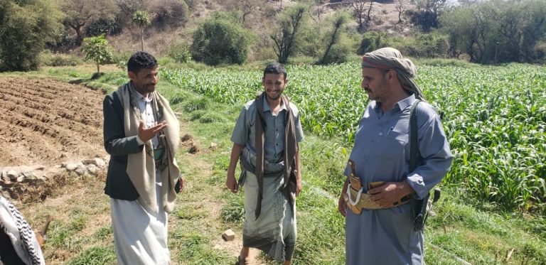 تفقد حقول الزراعة التعاقدية بوادي زاحة بعزلة الحميطة بمديرية جبل الشرق