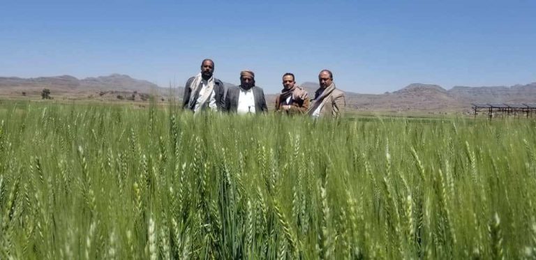 نزول ميداني للجمعية النموذجية بيريم لمتابعة الزراعة التعاقدية ومشروع إكثار البذور