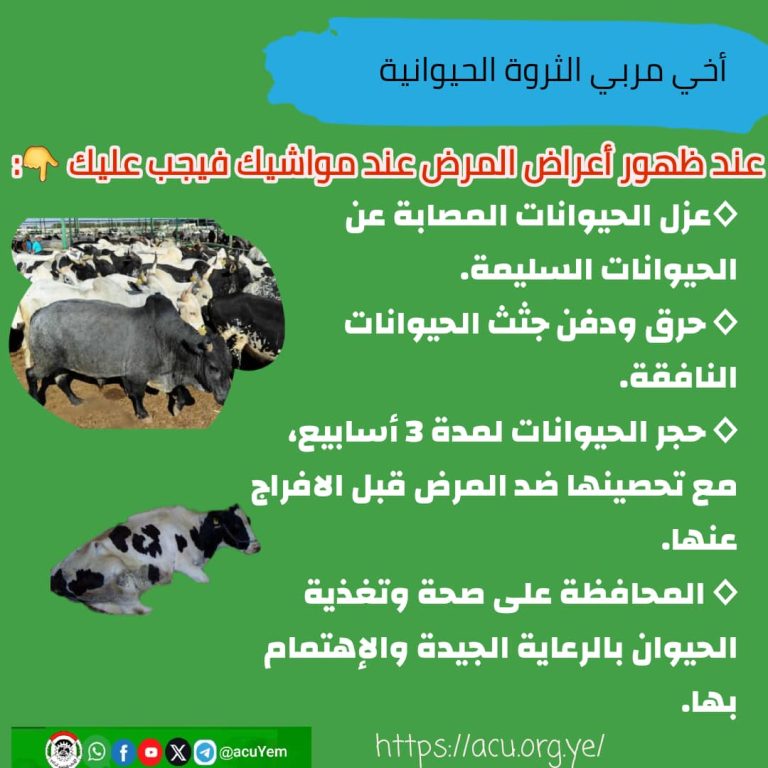 عند ظهور أعراض المرض عند المواشي يجب عليك