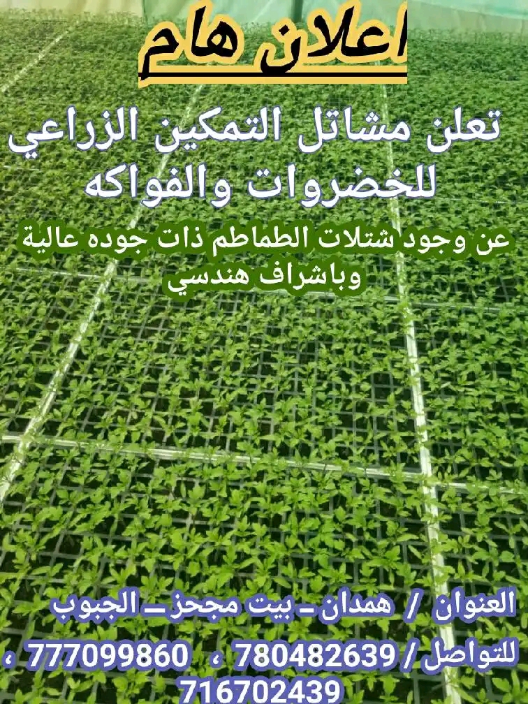 تعلن جمعية القطاع الشمالى التعاونية الزراعية