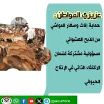 عزيزي المواطن