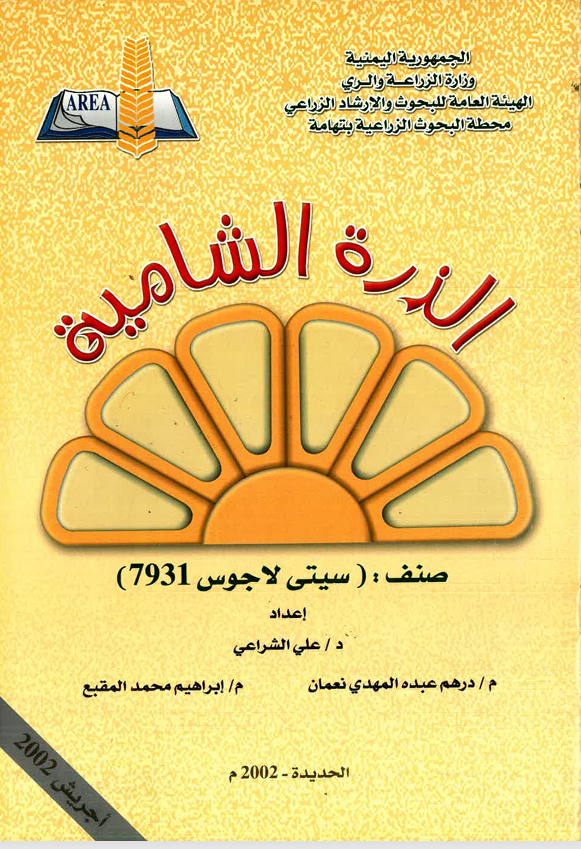 دراسة: كل ما تحتاجه حول الذرة الشامية