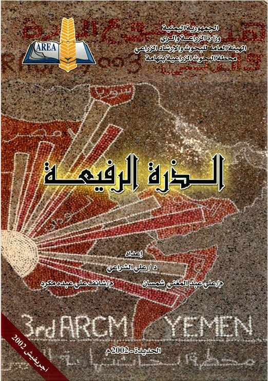 دراسة: كل ما تحتاجه حول الذرة الرفيعة