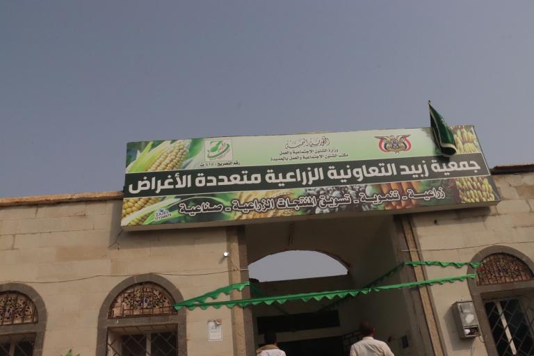 جمعية زبيد التعاونية تسوق 38 طناً من محصول الذرة الشامية