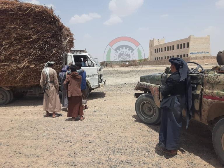 تعاون مشترك بين جمعيتي المراشي واللحية لتوفير الأعلاف لمربي الثروة الحيوانية