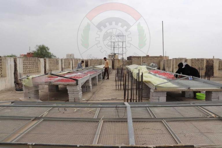 الاتحاد التعاوني الزراعي يطلق مشروع تجربة تجفيف المحاصيل الزراعية لتطوير الإنتاج وتحسين الجودة