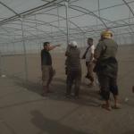 الحديدة: زيارة ميدانية للاطلاع على المحميات الزراعية وقنوات التقطير بالرش في مديرية التحيتا الحديدة: زيارة ميدانية للاطلاع على المحميات الزراعية وقنوات التقطير بالرش في مديرية التحيتا