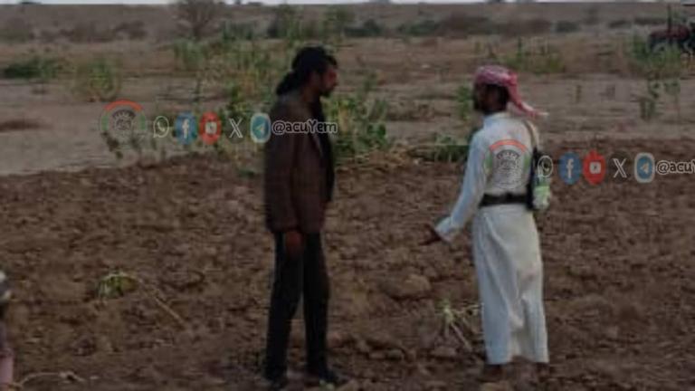 جمعية مجزر التعاونية تفعل الحراثة المجتمعية لدعم التوسع في زراعة الحبوب