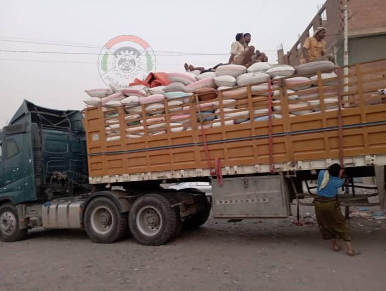 الحديدة.. جمعية الجراحي التعاونية تسوق أكثر من 46 طناً من الذرة الشامية