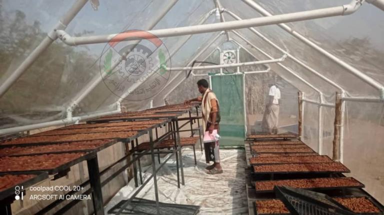 جمعية الدريهمي التعاونية ترفع جاهزيتها لموسم التمور عبر تقنيات التجفيف الحديثة