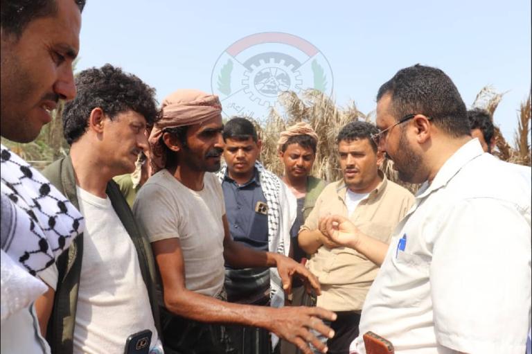 الحديدة.. أمين عام الاتحاد التعاوني الزراعي يطلع على سير عملية حصاد التمور في بمديرية بيت الفقيه