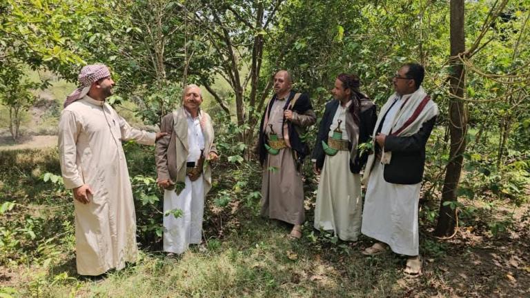 جمعية حزم العدين والسلطة المحلية تفعّلان خطة لإعادة زراعة البن في عزلة يريس
