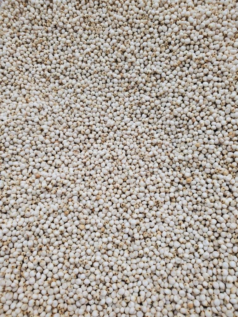بمناسبة هطول الأمطار… اغتنم الفرصة!