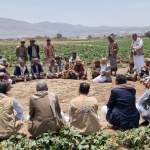 متدربو جمعيات ذمار يطلعون على تجربة جمعية البون الشمالي الناجحة في عمران متدربو جمعيات ذمار يطلعون على تجربة جمعية البون الشمالي الناجحة في عمران