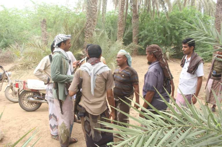 الحديدة.. زيارة ميدانية لتفقد مزارع النخيل المتضررة من العدوان في الدريهمي￼